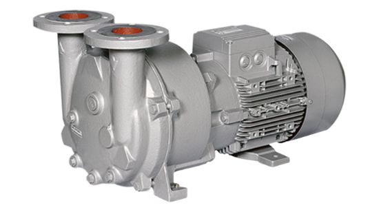 Hình ảnh của 2BV5 161 vacuum pump