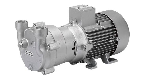 Hình ảnh của 2BV2 071 vacuum pump